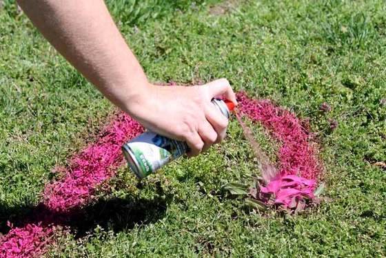 Aeropak Temporary Marking Spray Paint Turf Spray Paint For Real Grass