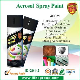 Weather Resistant Fast Dry Acrylic Spray Paint Black For Leather / Plastic